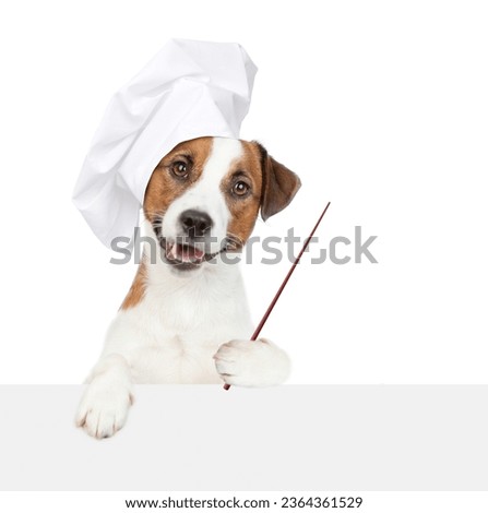 Smiling jack russell terrier dog wearing chef's hat looks above empty white banner and points away on empty space. isolated on white background