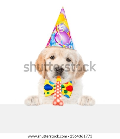 Golden retriever puppy wearing tie bow and party cap looks above empty white banner and blows into party horn. isolated on white background