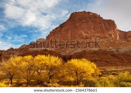 Autumn season in Utah mountains, USA