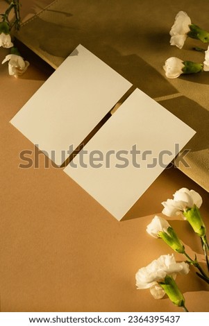 Blank paper sheet cards with mockup copy space and carnation flowers. Aesthetic sunlight shadows. Minimal business brand template