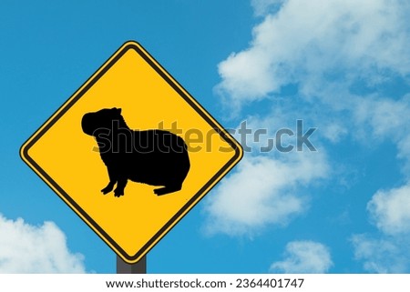 Capybara Sign with Cloudy Sky Background