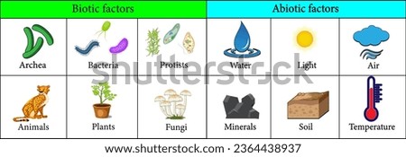 Biotic and Abiotic Factors in the Environment.Vector illustration Royalty-Free Stock Photo #2364438937
