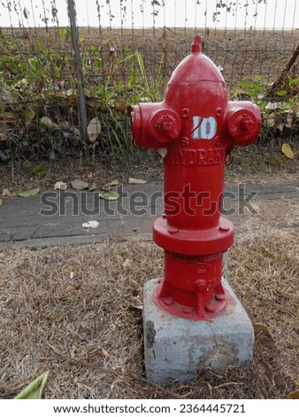 Red hydrant fire prevention system detail with with dry grass and road out of focus in background 