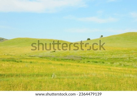 Endless steppe with gentle hills overgrown with dense grass under a clear summer sky. Khakassia, Siberia, Russia. Royalty-Free Stock Photo #2364479139