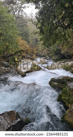 Rapid falls in Fiordland New Zealand 