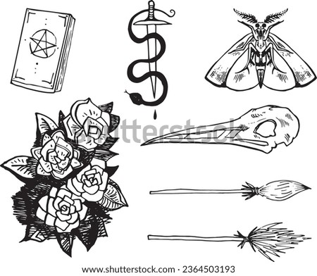Stylized Witch Set Line Clip Art Design Linear Halloween Witchcraft Magic Elements icons. Doodle  elements Vector hand-drawn illustration for holiday designs, decorations. Cartoon line drawing stuff
