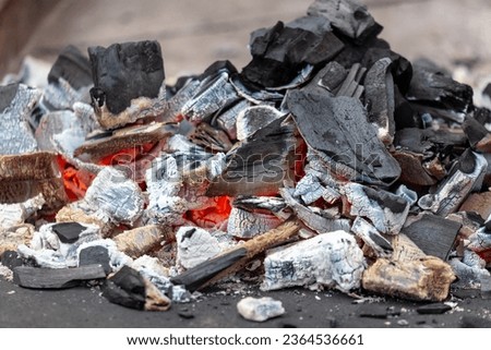 Close-up of burning coals. Background.