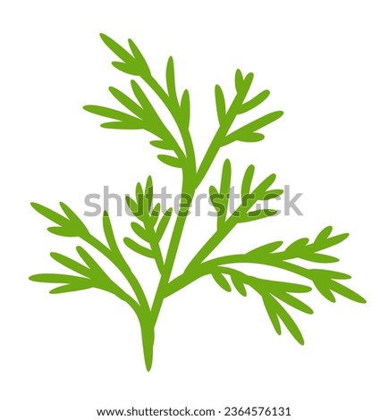 Dill leaf. Vector herbal isolated illustration. Food ingredient. Royalty-Free Stock Photo #2364576131