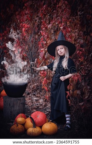 A little girl in a witch costume for Halloween