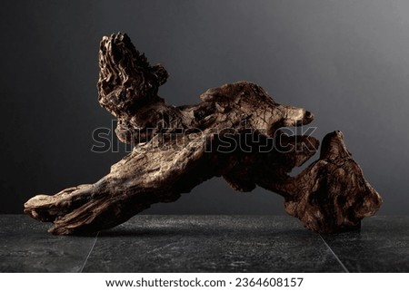 Old dry wooden snag on a black stone table. Black background with copy space. Royalty-Free Stock Photo #2364608157