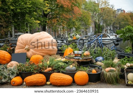 Pumpkin and bicycle decor for Halloween on the bridge in Amsterdam Royalty-Free Stock Photo #2364610931