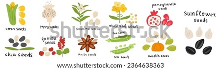 Food illustrations. Seeds icons. Vector hand drawn design on white background. Royalty-Free Stock Photo #2364638363