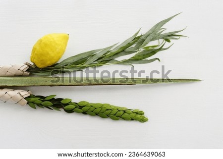 Jewish festival of Sukkot. Traditional symbols (The four species): Etrog (citron), lulav (palm branch), hadas (myrtle), arava (willow) Royalty-Free Stock Photo #2364639063