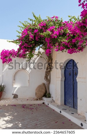Traditional blue door with pattern tiles and pink flowers, Hara Sghira Er Riadh - Djerbahood in Tunisia Royalty-Free Stock Photo #2364657605