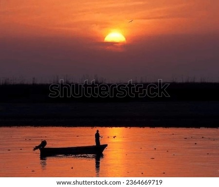 sunset, boat, bird, fishing, fisher, 