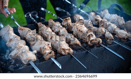 Skewers with pork meat in country close-up, vignetting, selective focus.