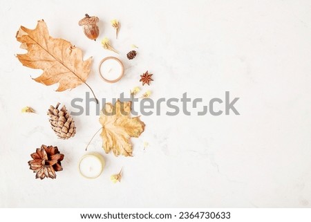 Autumn-inspire nature background - dried flowers, dry leaves, acorns, cones and candles. Cozy home.