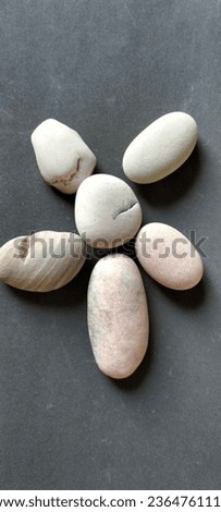Beautiful and attractive sea pebbles to look at