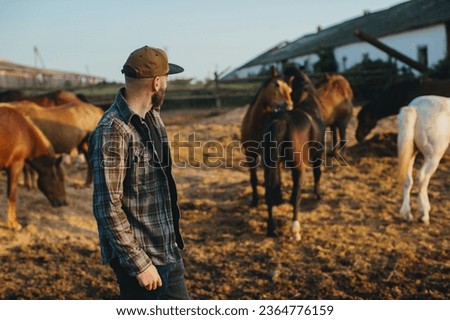 A young farmer near a herd of horses on a farm. Portrait of a bearded young man against the background of horses at sunset.
