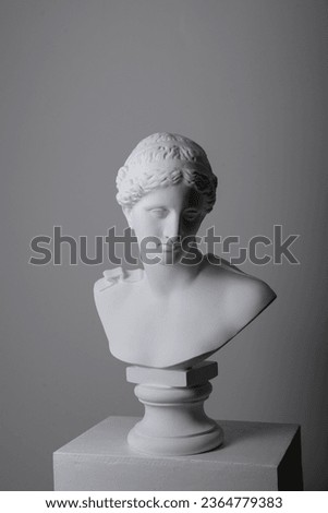 Female plaster statue head in studio over gray background Royalty-Free Stock Photo #2364779383