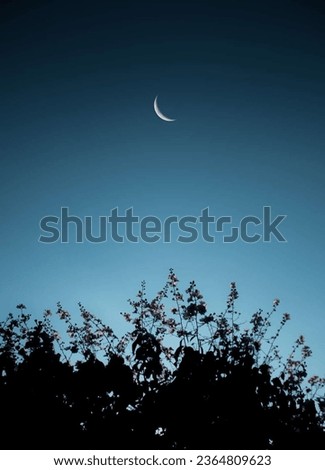 Moon Photo || Moon With Nature