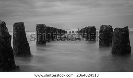black and white picture of the beach