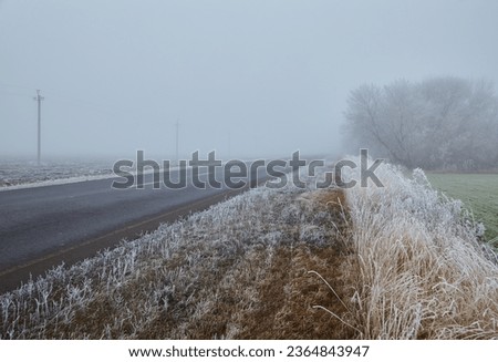Winter morning with frosted trees, foggy atmosphere, and a disappearing asphalt road. An asphalt road stretches into the distance, disappearing into the mist, adding to the enigmatic composition. Royalty-Free Stock Photo #2364843947