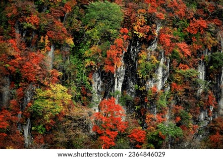 Autumn leaves in Japan, scenery of mountains in Nikko like a painting	