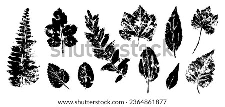 Set of prints, doodles of various leaves. Vector graphics. Royalty-Free Stock Photo #2364861877