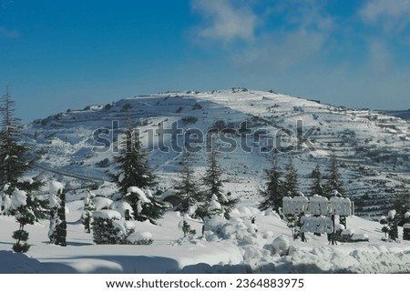 new year photo with the snow and cristmas trees taken with my canon 90d , Golan Heights Israel , December 28 2023 Royalty-Free Stock Photo #2364883975