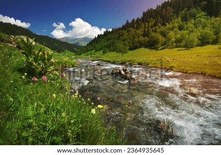 River panorama in mountain valley. Nature panorama landscape.