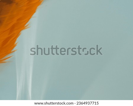 Orange feathers and reflections on a white background capture a minimalist close-up.