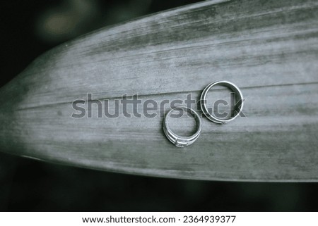 The wedding ring is one of the symbols of marriage in the Western Christian tradition.[1] The exchange of wedding rings in the wedding procession takes place during the commitment of the bride and gro