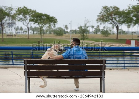 Handsome young man and his Labrador retriever dog sitting on a wooden bench in the park. The man and his pet are looking at the horizon. The picture is taken from behind. Concept pets and animals