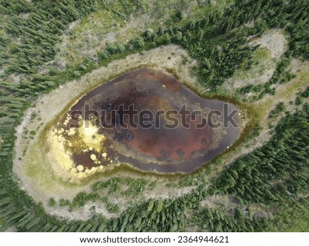 Arial wilderness wetland view of boreal forest pond in slow process of accretion by plant material, Yukon Territory, Canada Royalty-Free Stock Photo #2364944621