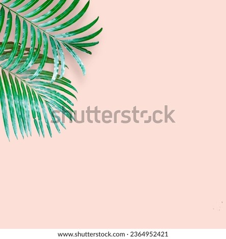 Tropical leaves on pastel background for design. Summer style. High quality image. Top view.