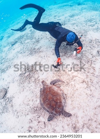 A large green sea turtle swimming leisurely on a beautiful white beach

Ama Beach, Zamami Island, Zamami Vil., Shimajiri, Okinawa, Japan.
Photo Taken November 25, 2022.
In underwater photography.
