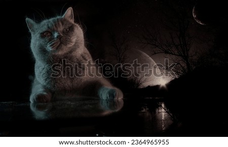А fantastic night collage of a British cat and a dark lake with a moon among gnarled tree branches and a huge alien planet looming over the horizon