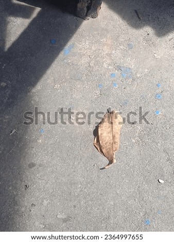 a leaf that falls far from the tree 