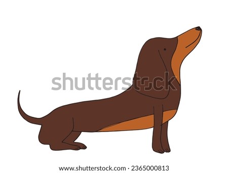 Outline illustration vector image of a doxie dog.
Hand drawn artwork of a dachshund. 
Simple cute original logo.
Hand drawn vector illustration for posters, cards, t-shirts.
