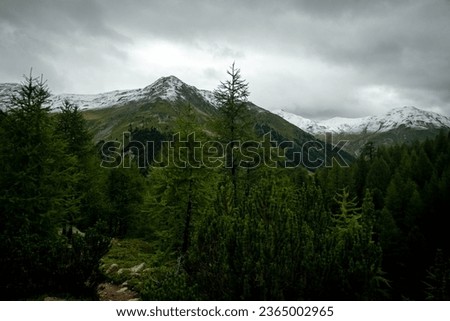 snow-filled mountain tops after a summer snowfall, in Livigno, Valtellina in the summer of 2023