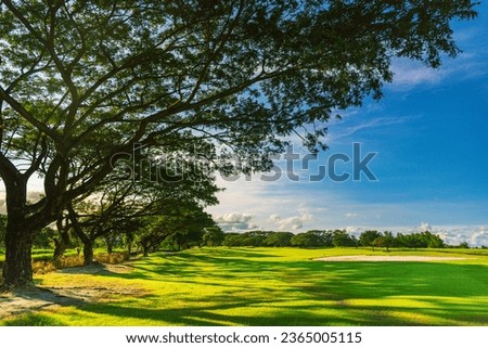 a picture of a golf course with warm colors
