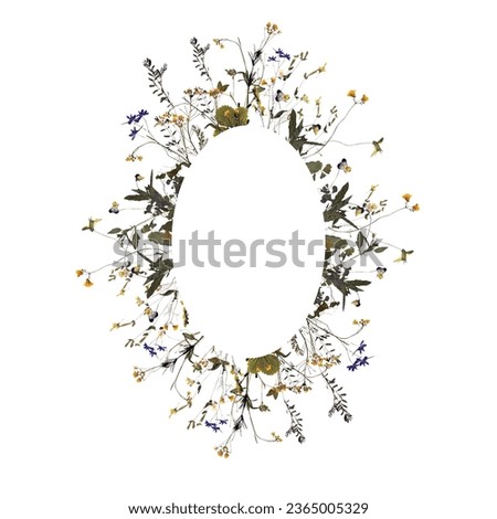 Frame with dried wildflowers, herbs, leaves, grass, herbarium compositions, isolated on white background