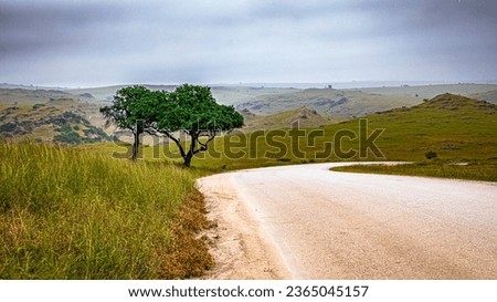 Green landscape of salalah just after khareef. This place is unique in its landscape and beauty. Royalty-Free Stock Photo #2365045157