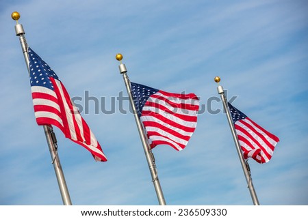Flag of the United States of America.