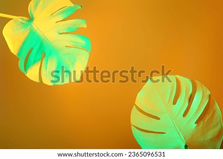 Neon tropical monstera leaves on yellow background