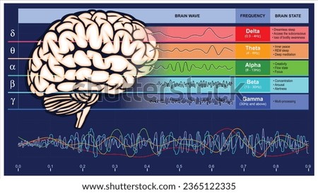 A digital illustration of various brain waveforms resulting from brain activity. These diverse waveforms are representative of human brain activity patterns, providing a demonstration of their unique 
