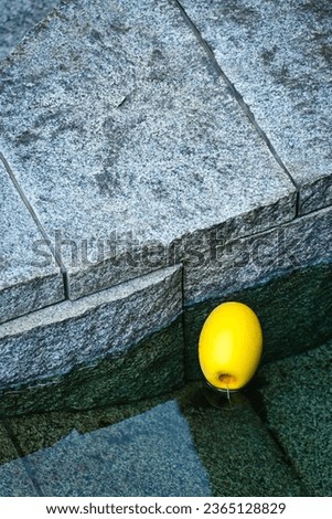 A lemon-like toy floating on the water's edge