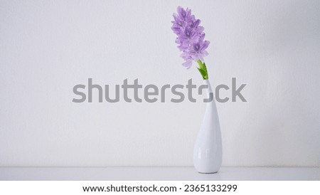 Purple flowers in vase on the table, Decoration violet flower on white wood shelf background,Ceramic vase as home decoration ,Common water hyacinth Eichhornia crassipes Pontederia ,copy space 