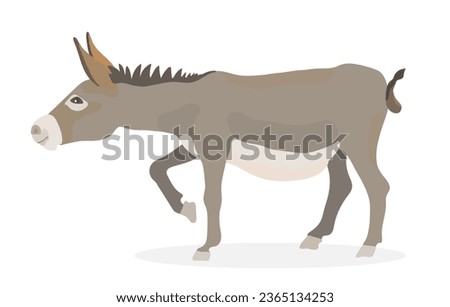 Cute cartoon donkey. Vector funny animals illustration. Royalty-Free Stock Photo #2365134253